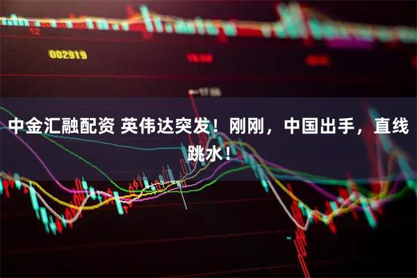 中金汇融配资 英伟达突发！刚刚，中国出手，直线跳水！
