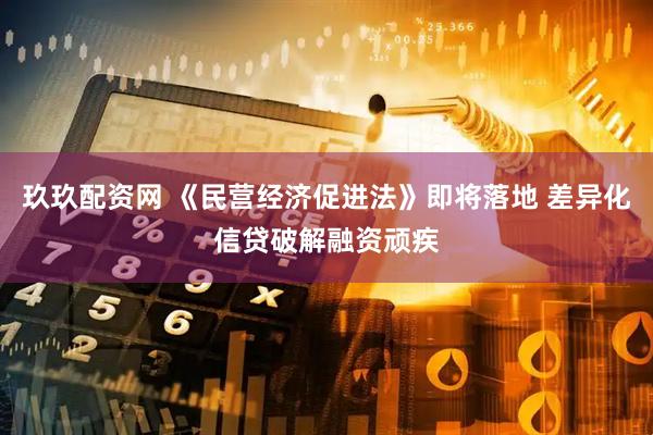玖玖配资网 《民营经济促进法》即将落地 差异化信贷破解融资顽疾