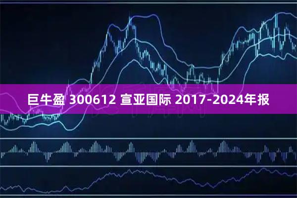 巨牛盈 300612 宣亚国际 2017-2024年报