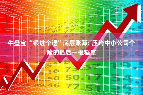 牛盘宝 “银进个退”底层账簿: 压垮中小公司个险的最后一根稻草