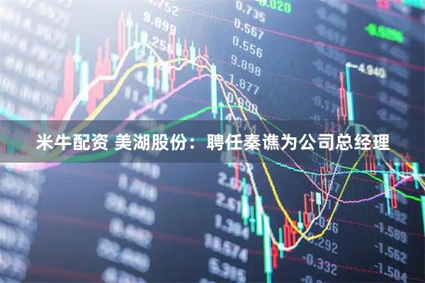 米牛配资 美湖股份:聘任秦谯为公司总经理